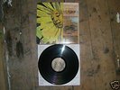 ROBERT POLLARD - NOT IN MY AIRFORCE VINYL LP