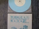 Modest Mouse Birds Vs. Worms 7