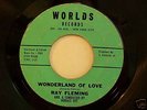 RAY FLEMING  SOUL BELGIAN POPCORN WORLD - RARE   LISTEN
