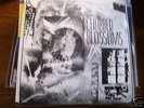 CYRNAI-Charred Blossoms minimal synth LP w/book aloa