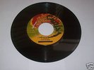 THE LIGHT OF SABA/LAMBS BREAD COLLIE - LIGHT OF SABA 7