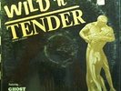 Rare Dane Sturgeon LP - Wild 'n' Tender - Indie Calif.