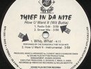THIEF IN DA NITE 