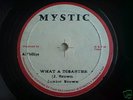 JUNIOR BROWN - WHAT A DISASTER orig JA .roots 12