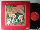 MUTUAL UNDERSTANDING In Wonderland Pop ACID PSYCH RARE