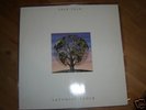 TALK TALK:LAUGHING STOCK.VERY RARE, A1/B1 PRESS NR MINT