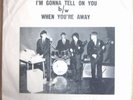 RARE GARAGE ROCKER CARDINALS Picture sleeve 45 cha cha