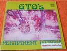GTO'S Permanent Damage WLP Frank Zappa PROMO Straight