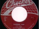 Rockabilly  Blues 45 - T.V.  SLIM - Flatfoot Sam