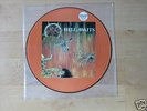 SLAYER-HELL AWAITS  RARE ORIGNALE PICTURE LP