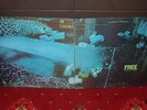 FREE Tons Of Sobs 1st LP 1969 ORIGINAL 