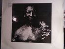 MUDDY WATERS After the Rain '69 FUZZ FUNK PSYCH LP HEAR