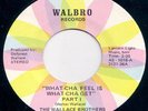 WALLACE BROTHERS What-cha Feel RARE FUNK 45