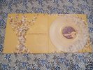 AMERICAN ANALOG SET Everything Ends In Spring LP