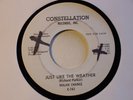 TEFTELLER Soul Nolan Chance Constellation161 WLP M-