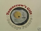 Tomorrow`s Gift, Goodby Future – Aamok Spiegelei