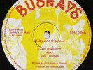 DAVE ROBINSON   RARE ROOTS REGGAE SHAKA DUB 12” Listen