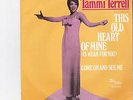 TAMMI  TERRELL  //  COME  ON  AND  SEE  ME  --  HOLLAND