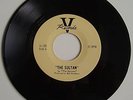 VHTF Ultra-Rare Neil Young Squires V-109 Sultan/Aurora