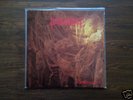 Desultory - Forever Gone MLP 91 / unanimated