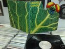 CATAPILLA Changes Lp 70s UK Prog Psych VERTIGO TOP RARE