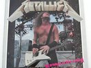 METALLICA   Carnage In The Arena   10 Track LP
