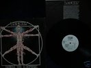 LEEWAY Born To Expire Vinyl LP Terror Cro-Mags AF DTN
