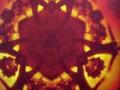 BOARDS OF CANADA Geogaddi 3x LP WARP RECORDS 2002 UK
