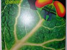 CATAPILLA, CHANGES, UK PROG LP 6360074, VERTIGO