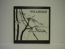 PHAROAH SANDERS  LP ON INDIA NAVIGATION 1027
