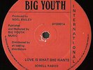 SOWELL RADICS   RARE ROOTS REGGAE SHAKA DUB 12