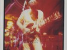 paul weller livewood 12
