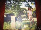 Ariel Pink Haunted Graffiti 2 -Doldrums LP- Paw Tracks