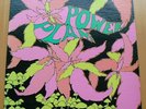 Golden Dawn,  Power Plant   original mint condition