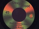 Jah Free Rod Of Correction RARE UK Deep Root 45 Listen