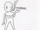 Tortoise - TNT  VINYL