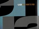 U2 ALL I WANT IS YOU RARE LTD EDITION UK 12