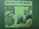THE YOBS& THE DICKIES 7