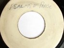 rare Jamaica Blank 45 RAS MICHAEL & SONS OF NEGUS Hear