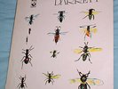 SYD BARRETT   BARRETT   UK HARVEST 1st. press  textured