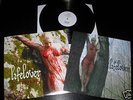 LIFELOVER Pulver LP Shining Hypothermia Kyla lim. 300