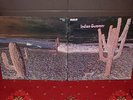 INDIAN SUMMER 1st LP 1971 RCA NEON 1st 