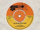REGGAE/SKA-BIGSHOT 523-THE DEMONS-YOU BELONG TO MY HEAR