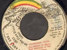 NUMBERED DAYS.ras michael & sons of negus. ZION DISC 7