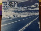 Modest Mouse 