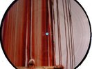 Hermann Nitsch  Das 6-Tage-Spiel   Picture LP corti 16