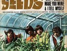  45T  The Seeds  (sky saxon)