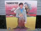 THUNDERTREE LP-sealed PSYCH orig ROULETTE rare PROMO?