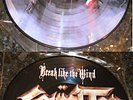 Spinal Tap Break The Wind Picture Disc