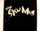 SKUNKS First LP Rude #1 big boys next dicks kbd tx punk